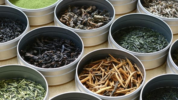 Enjoy the Myriad Benefits of Tea this Winter with Sazen Tea