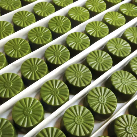 Cooking Matcha