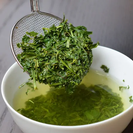 Sencha Seiga