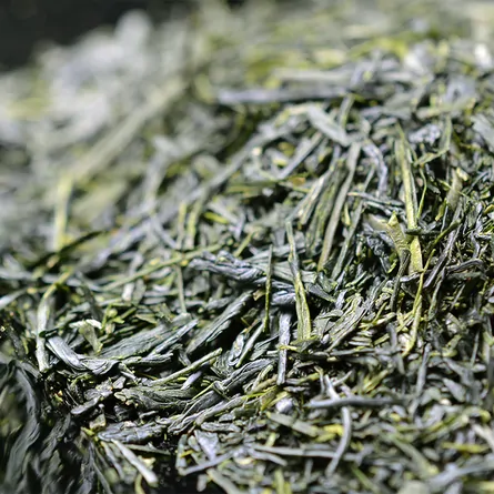 Kagoshima Sencha