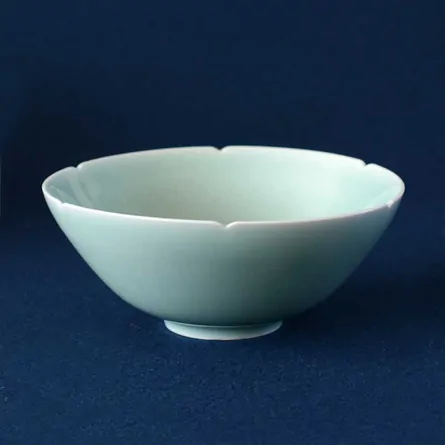 Chawan Seiji Bakohan Utsushi