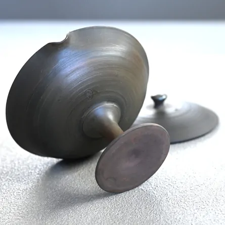 Gyokkō Hiyōhen Kōdai Shiboridashi