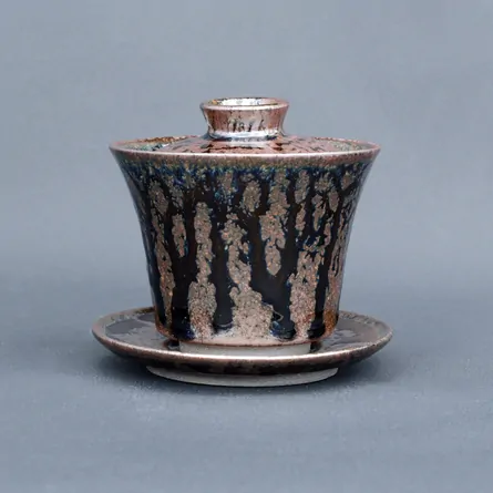 Tenkū Tenmoku Gaiwan