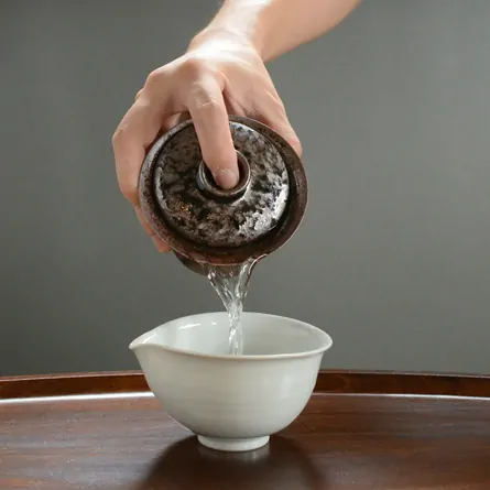 Tenkū Tenmoku Gaiwan