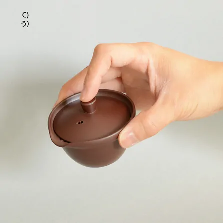 Jitsuzan Shidei Shiboridashi