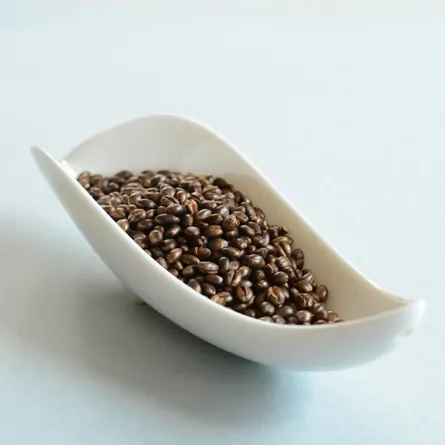 Mugicha
