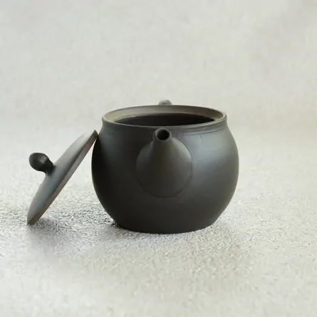 Gyokkō Kokudei Ushirode Kyusu