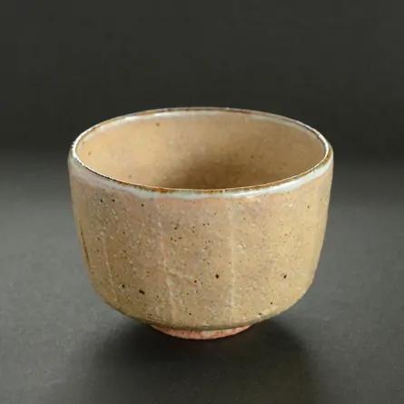 Chawan Haiyū Kimamorie