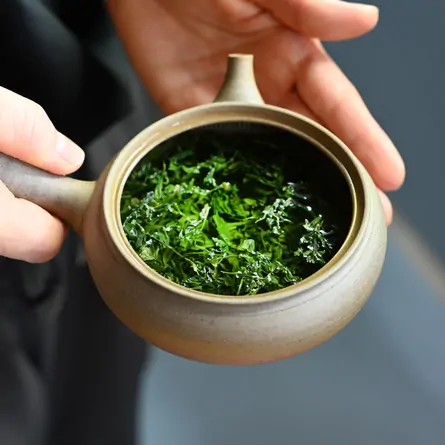 Wazuka Sencha Gokō
