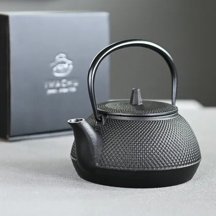 Tetsubin Kenyō Kyusu
