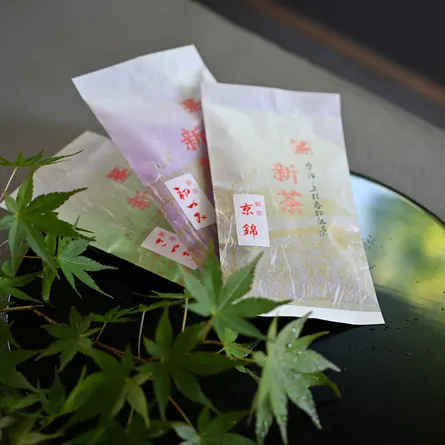 Shincha Hatsuzumi