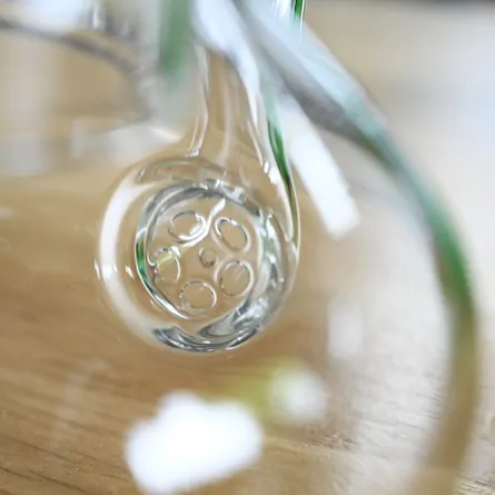 Pear Glass Teapot