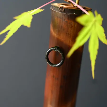 Honsusudake Ichirinzashi