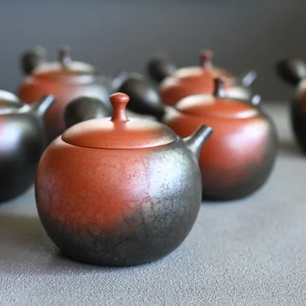 Shōryū Yōhen Tenmoku Marugata Kyusu