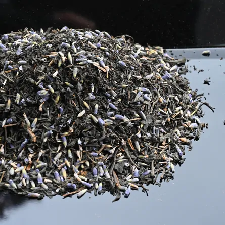 Lavender Kōcha