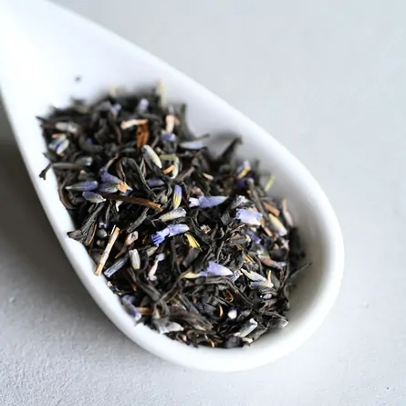 Lavender Kōcha