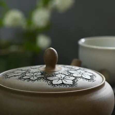 Gyokkō Yakishime Kikyō Kyusu