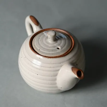 Isshin White Ushirode Kyusu