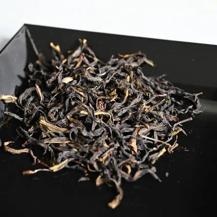 Feng Huang Dancong Huang Zhi Xiang Xue Pian