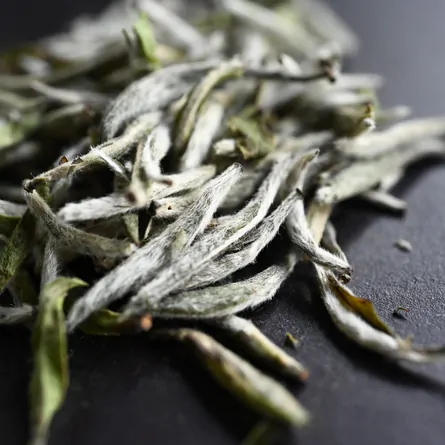 Fuding Bai Hao Yinzhen Superior