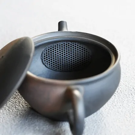 Gyokko Hiyohen Wangata Ushirode