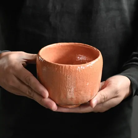 Chawan Chojiro Utsushi Shirosagi