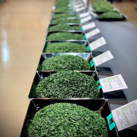 Japan National Tea Competition Tasting Set