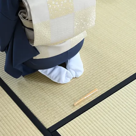 Sensu Kaoshu Shirotake