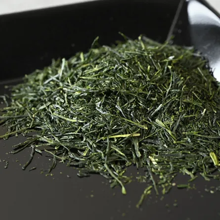 Kagoshima Sencha Yabukita Miyanojō 