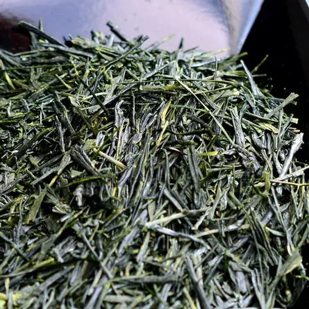 Ohmi Kōkyū Sencha Chaju