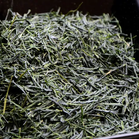 Gyokuro Hisa Homare