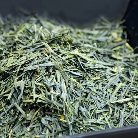 Tenryū Yamacha