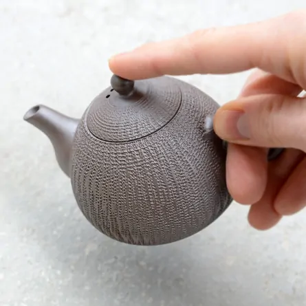 Nasugata Ushirode Biri Kyusu