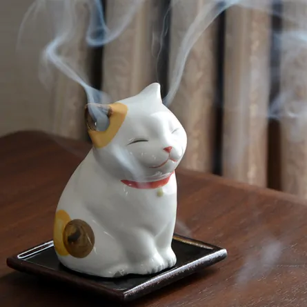 Urara - Small Cat