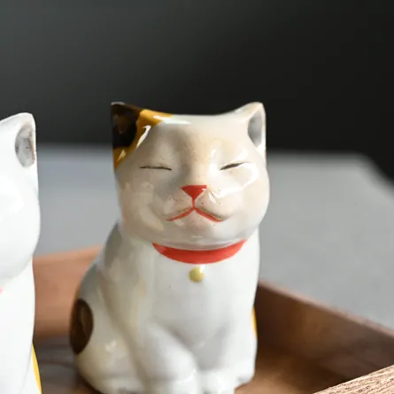 Urara - Small Cat