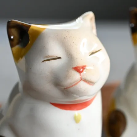 Urara - Small Cat
