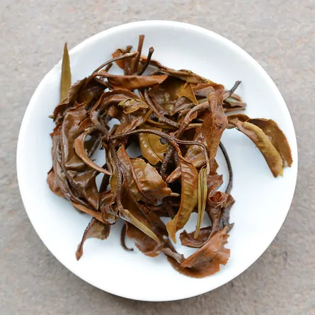 White tea of 2400 years old tea tree