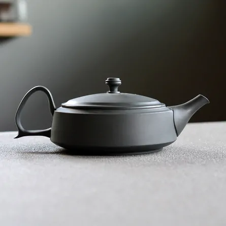 Takasuke Ushirode Hira Kyusu