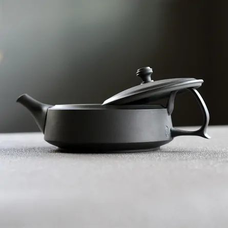 Takasuke Ushirode Hira Kyusu