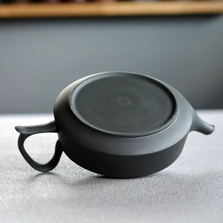 Takasuke Ushirode Hira Kyusu