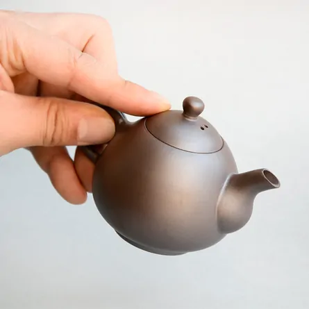 Nasugata Ushirode Muji Kyusu