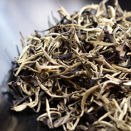 Yunnan Gu Shu Moonlight