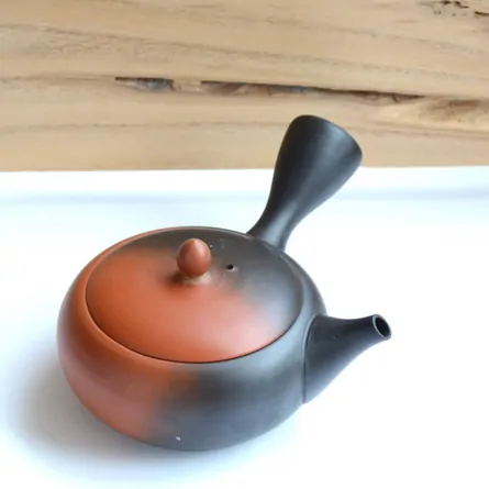 Gyokko Yohen Hiragata Kyusu