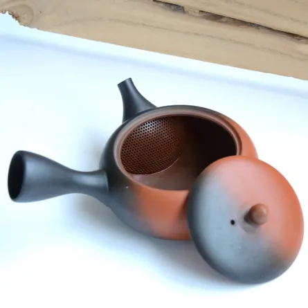 Gyokko Yohen Hiragata Kyusu
