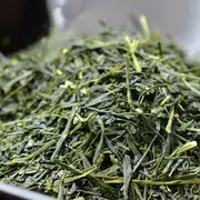 Sencha Seiga