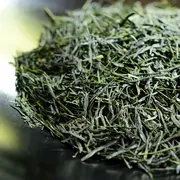 Kagoshima Shincha Yabukita Miyanojō 