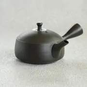 Hokuryū Kokudei Hiragata Kyusu
