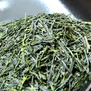 Sencha Tenga