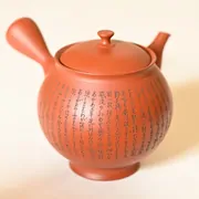 Koie Hiroshi Shudei Marugata Kyusu Okunohosomichi