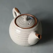 Isshin White Ushirode Kyusu